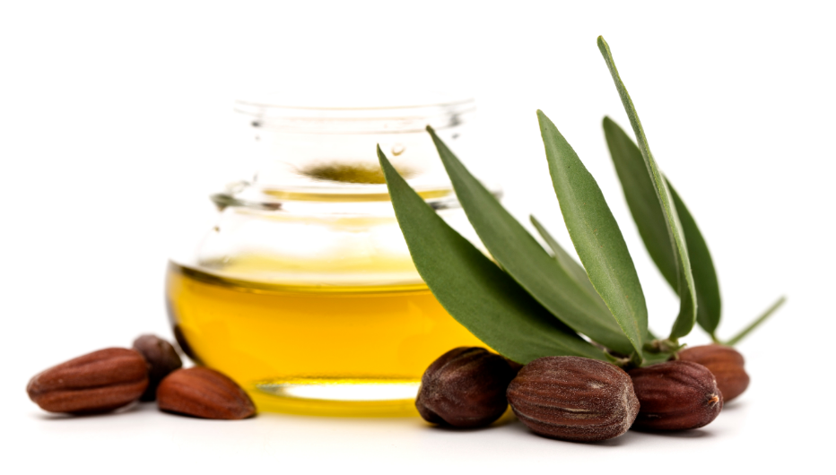 Glass Jar of Jojoba Oil with Leaves and Seeds