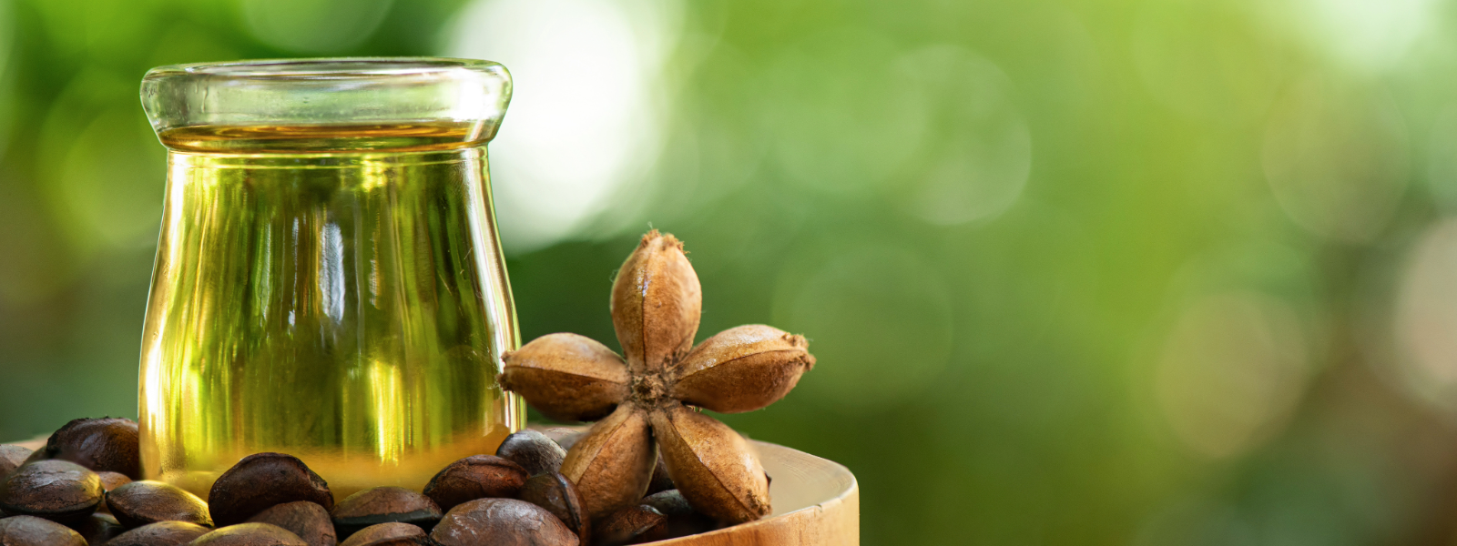 Ingredient Highlight: Sacha Inchi Seed Oil