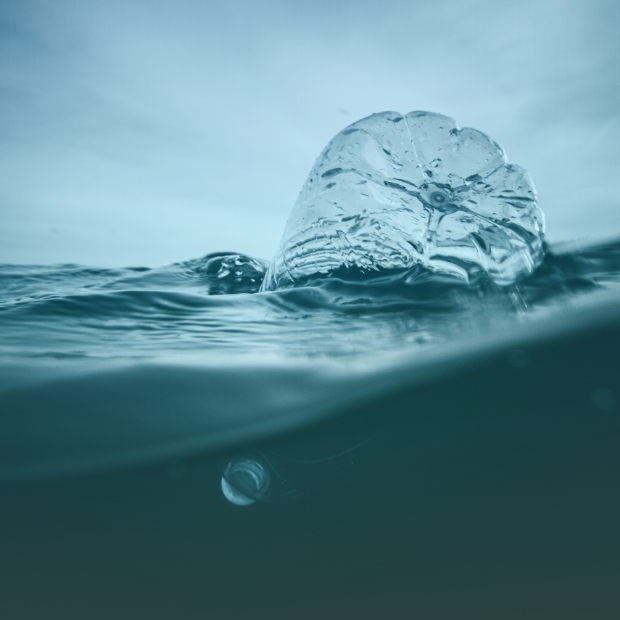 Plastic water bottle floating in ocean