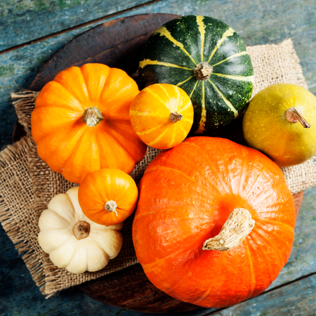 Over view of a pile of different pumpkins sitting on a distressed picnic table.