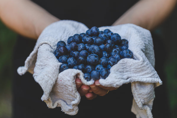 Why Blueberry Seed Oil is a Must-Have in Your Skincare Routine