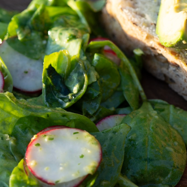 Brat Green Salad and Avocado Toast Recipe